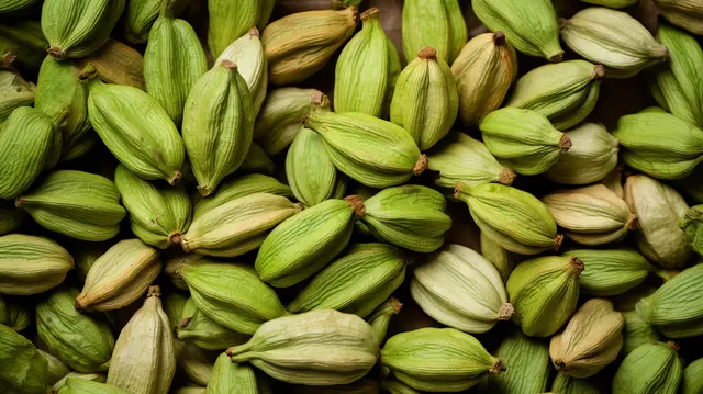 Kapulaga Nias Selatan Siap Go Internasional, Petani Gomo Kembangkan Produk Premium Berstandar Ekspor