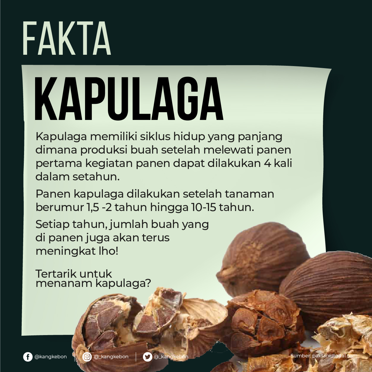 Khasiat Kapulaga: Rempah dari Gomo yang Kaya Manfaat